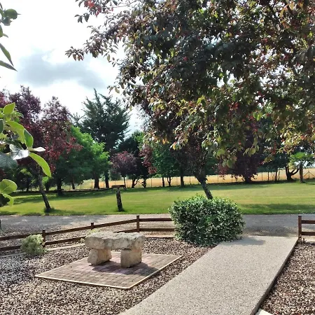 L'ora Des Marais V *