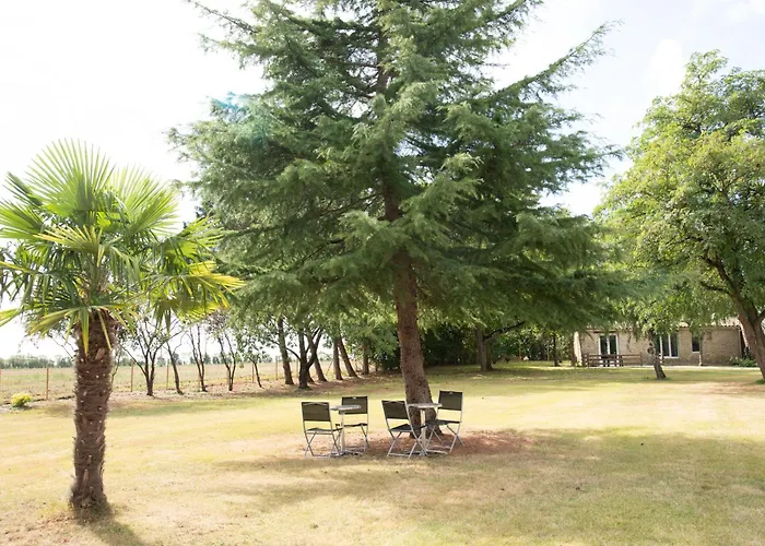 L'ora Des Marais V *