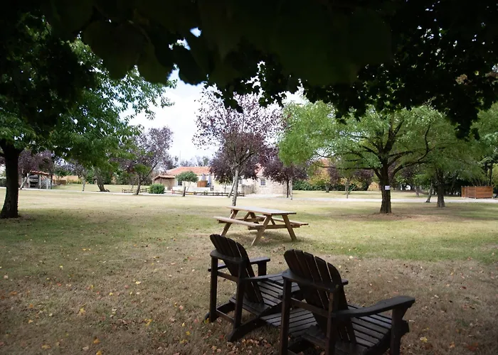 L'ora Des Marais V *