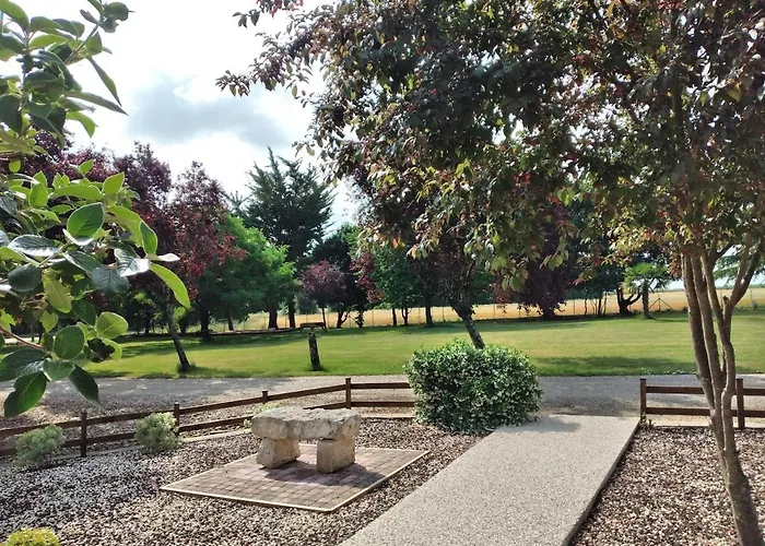 L'ora Des Marais V *